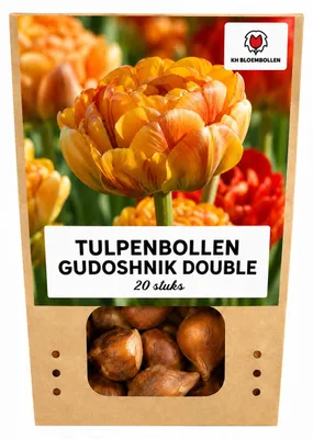 Productafbeelding van Tulpenbollen 'Gudoshnik Double' | 20 Stuks | Geel Oranje & Rode Dubbelbloemige Tulp - 30-50cm - Ø5cm - Bloembol - Tuinplant