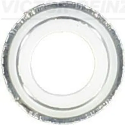 Produktbild von REINZ Ventilschaftdichtung 70-25792-00 für RENAULT TWINGO I (C06)