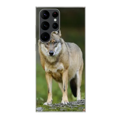 Produktbild von MuchoWow® Handyhülle Schutzhülle Hülle für Samsung Galaxy S22 Ultra Wolf - Asien - Pflanzen Silikon Softcase Handy Hülle - Abbildung