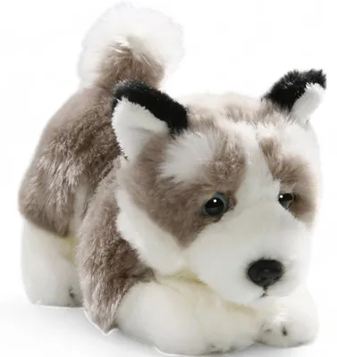 Produktbild von Carl Dick Husky Floppy ca. 23cm 3222 Kuscheltier, Plüschtier, Stofftier