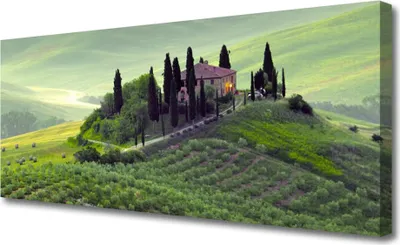 Produktbild von Tulup Leinwand-Bilder 125x50 Wandbild Canvas Kunstdruck Wiese Bäume Natur