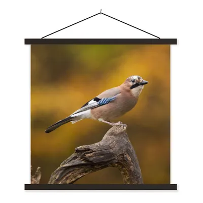 Produktbild von MuchoWow® Textilposter Vogel - Zweig - Eichelhäher 40x40 cm mit schwarzem Rahmen - Fotos