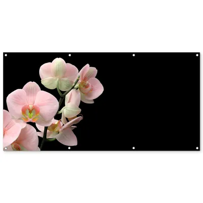 Produktbild von MuchoWow® – Außenplakat – Dekoration für den Garten, Sichtschutz – Gartenbilder für den Garten – Orchidee – Blumen – Rosa – Stillleben – Flora – 80x160x0,2 cm