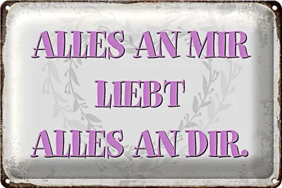 Produktbild von Blechschild Spruch 18x12cm alles an mir liebt alles an dir
