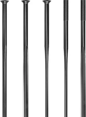 Image de Rayon DT Swiss Revolite Straightpull 2.0/2.3/1.3 292 mm noir - léger et ...