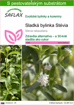 Obrázok produktu pre SAFLAX - Sladká bylinka Stévia - Stevia rebaudiana - 100 Semená - S pestovateľským substrátom bez klíčkov
