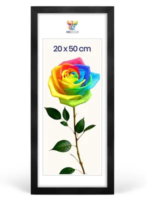 Produktbild von MG Design Bilderrahmen Schwarz 20x50 cm - Posterrahmen Echtholz mit Acrylglas, stabile Wandaufhängung, hoch/quer
