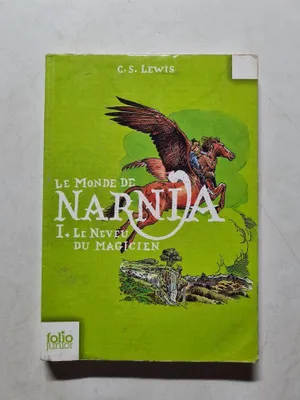 Image de Tome 1. Le Neveu du Magicien