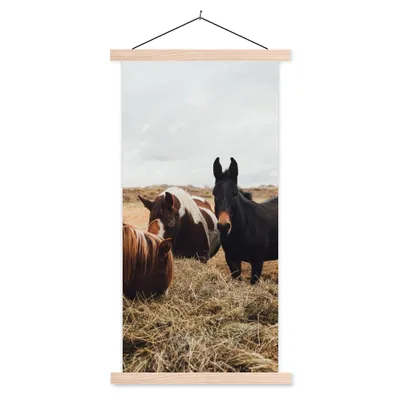 Produktbild von MuchoWow® Textilposter Tiere - Pferd 60x120 cm mit holzfarbenen Rahmen - Holz