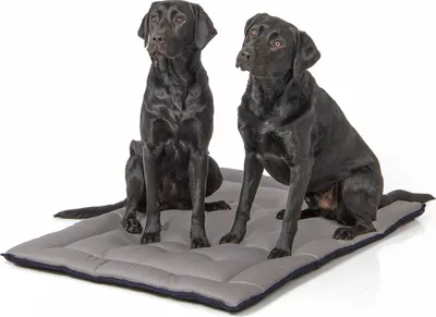Produktbild von gepolsterte Wendedecke 110 x 80 cm, schwarz/grau bei 95°C waschbar für Hunde