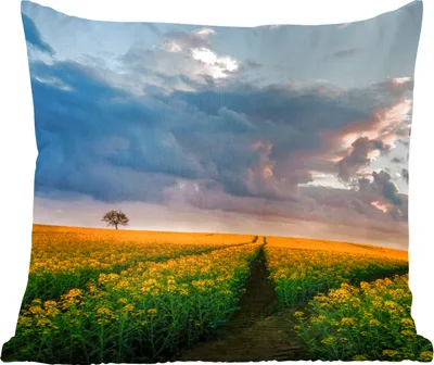 Produktbild von MuchoWow® Zierkissen Sofakissen Wohnzimmer Dekokissen 50x50 cm Blumen - Gelb - Sonnenuntergang - Komfort - Sofakissen