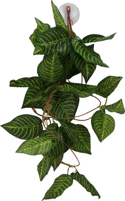 Produktbild von Hängepflanze Falsche Rebe,Klettertierbox Grüne Rebe Landschaftsgestaltung,Simulation Rattan Landschaftsgestaltung,Crawler Simulation Grüne Rebe,Grüne Rebe,Reptil Dekoration