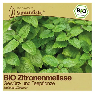 Produktbild von Samenliebe  Zitronenmelisse Samen | Tee- & Heilpflanze - winterhart & mehrjährig - samenfestes  Saatgut