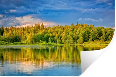 Produktbild von MuchoWow® Wandtattoo Wandsticker Wandaufkleber Wasser - Natur - Wald 120x80 cm Selbstklebend und Repositionierbar - Selbstklebend - Fototapeten