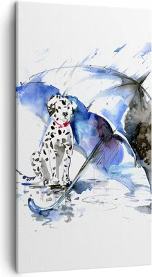 Produktbild von Bild auf Leinwand - Leinwandbild - Hund Regenschirm Regen Wetter - 45x80cm - Wand Bild - Wanddeko - Leinwanddruck - Bilder - Kunstdruck - Wanddekoration - Leinwand bilder - Wandkunst - PA45x80-3044