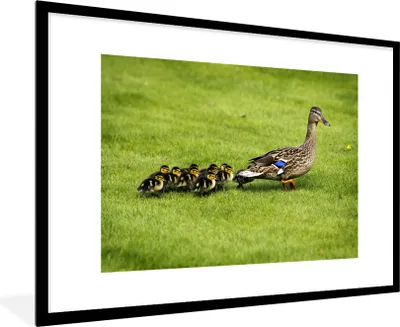 Produktbild von MuchoWow® MuchoWow® Gerahmtes Poster Ente mit Jungen im Gras 90x60 cm - Poster mit zchwarzem Bilderrahmen - Wanddekoration - Fotos