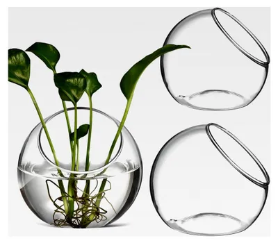 Produktbild von Terrarium Luftpflanzen-Glasbehälter 3er Set Runde Klare Vasen für Sukkulenten und Luftpflanzen Dekoration Zuhause Büro