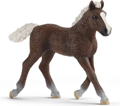 Produktbild von Schleich Farm World        13899 Schwarzwälder Fohlen