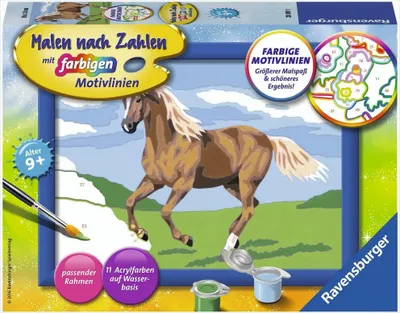 Produktbild von Stute Carla Ravensburger 28019