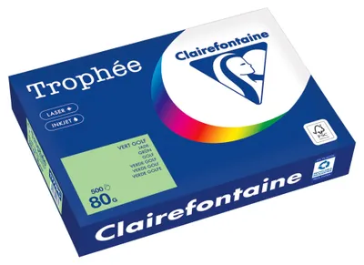 Obrázok produktu pre Clairefontaine Kopierpapier 1777PC A4 80g grün 500Bl