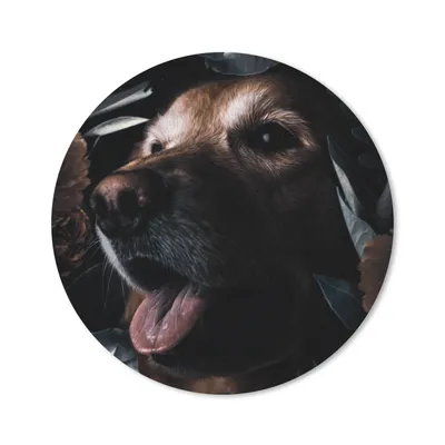Produktbild von MuchoWow® Mauspad Mousepad Hund - Blumen - Blätter - Botanisch 30x30 cm - Mousepads - Maus Mat - Pad - Mausunterlage - Tischunterlage - Schreibtischmatten