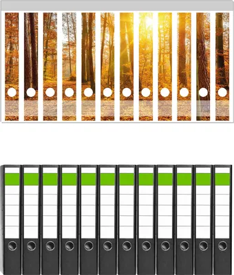 Produktbild von Wallario 12 Stück schmale Ordner inkl. Klebeetiketten mit Motive Sonnenuntergang im herbstlichen Wald -  Set mit Rückenschildern / Ordnerrücken Stickern