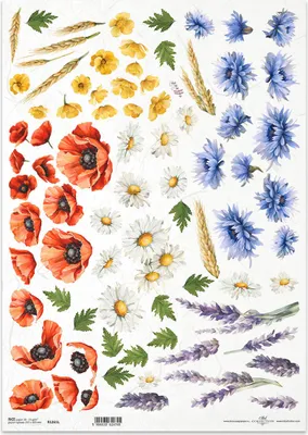 Immagine prodotto di Carta di riso per decoupage Carta per decoupage A3 ITD-1261L Fiori di campo Papaveri Fiordalisi