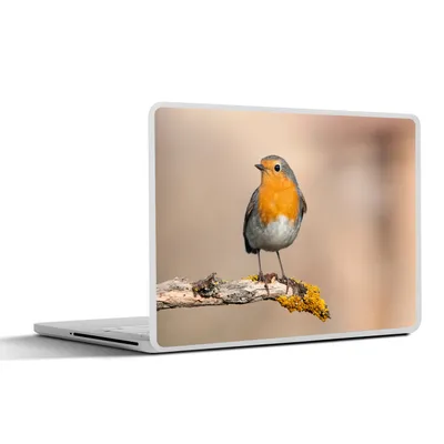 Produktbild von MuchoWow® Laptop Aufkleber Sticker Cover Rotkehlchen - Vogel - Zweig - Tiere 25x18 cm - Laptop-Deko