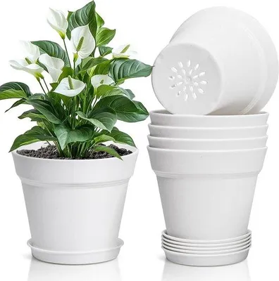 Zdjęcie produktu dla Zestaw 6 ceramicznych doniczek o średnicy 19 cm – doniczki do wnętrz i na balkon – do sukulentów i kaktusów, kolor biały