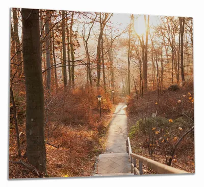 Produktbild von Wallario Herdabdeckplatte aus Glas, Größe 60 x 52 cm 1-teilig, Motiv Weg in den Sonnenuntergang