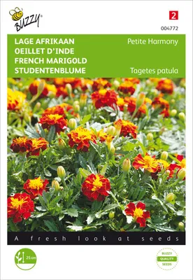 Produktbild von Studentenblume Petite Harmony | Studentenblumensamen von Buzzy Seeds