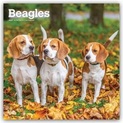 Produktbild von Beagles 2027 - 16-Monatskalender