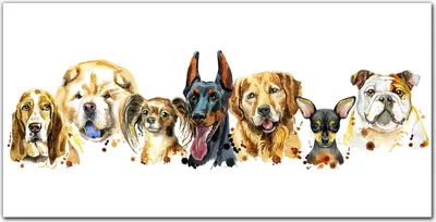 Produktbild von Coloray Bild aus Leinwand 140x70 Leinwand Dekoration - Haustiere Hunde