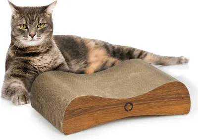 Image de Satellite 2.0. SMALL | Griffoir pour chat | Chat canadien | noyer