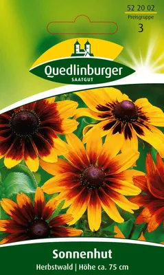 Produktbild von Sonnenhut Herbstwald | Sonnenhutsamen von Quedlinburger