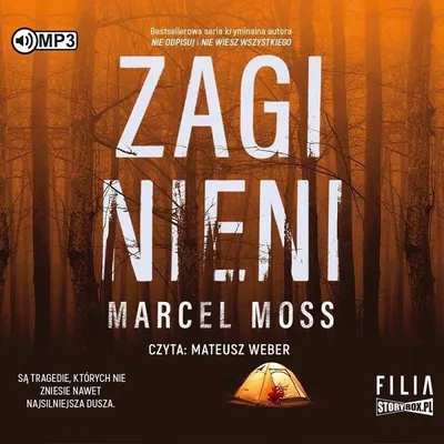 Obrázok produktu pre CD MP3 Zaginieni – Kriminálny dramat