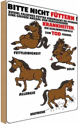 Produktbild von vianmo Holzschild 30x20 cm bitte nicht füttern Pferd krank