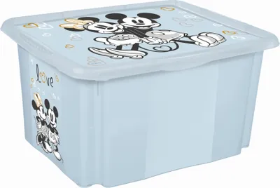 Immagine prodotto di keeeper 1223868424700 keeeper box karolina "Mickey", 30 litri