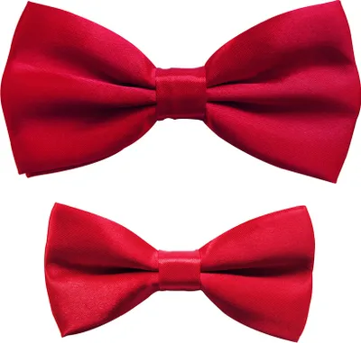 Produktbild von axy Vater-Sohn Partnerlook  Fliege Set für Herren-Damen-Kinder Jungen verstellbar Familien Outfit Ideal für Festival Fotoshooting Hochzeit FLIP1