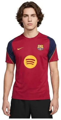 Productafbeelding van T-shirt Nike II2254-621 voor Heren