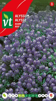 Produktbild von Alysse Bleu Samen - Ca. 0,5 gr | VT_706