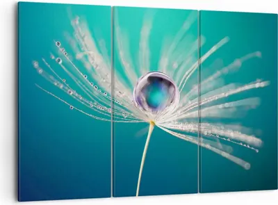 Produktbild von Bild auf Leinwand - Leinwandbild - Pflanze Natur - 105x70cm - Wand Bild - Wanddeko - Wandbilder - Leinwanddruck - Bilder - Kunstdruck - Wanddekoration - Leinwand bilder - Wandkunst - CE105x70-3991
