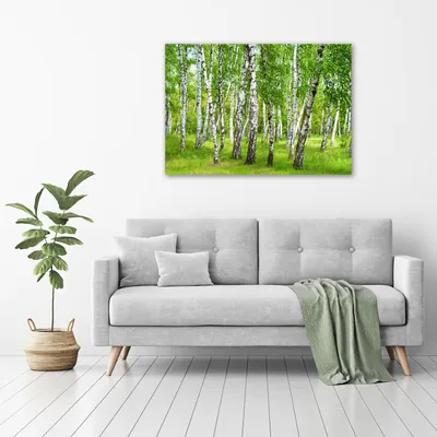 Produktbild von Tulup® Glas-Bild - 100 x 70 - Wandbild aus Glas - Wandkunst - Wandbild hinter gehärtetem Sicherheitsglas - Landschaften - Birkenwald - Grün