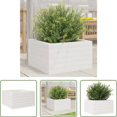 Produktbild von The Living Store Pflanzkübel Weiß 40x40x23 cm Massivholz Kiefer