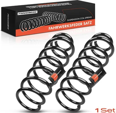 Produktbild von Frankberg 2x Fahrwerksfeder Hinterachse  für Renault Megane III Coupe DZ0/1 2008-2021