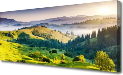 Produktbild von Tulup Leinwand-Bilder 125x50 Wandbild Canvas Kunstdruck Gebirge Feld Wald Nebel Natur