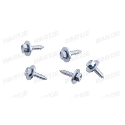 Produktbild von 5x Dresselhaus Blechschraube 4163/001/40 4,8x19 4,8mm 19mm Stahl Blisterpack