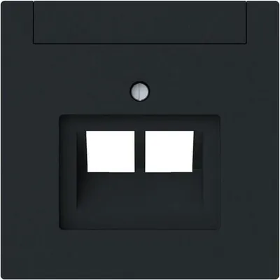 Produktbild von 1803-02-45M Zentralscheibe 2-fach UAE Beschriftungsf 2CKA001710A4230