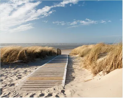Produktbild von Wallario Poster - Auf dem Holzweg zum Strand, Kunstdruck Größe: 40 x 50 cm