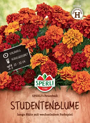 Immagine prodotto di Tagetes fireball Sperli - semi di fiori